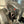 TPR035 - Water Cooled Turbo - Pro XP / XPT