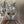 TPR017 - Drop In Pistons - Pro R