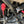 TPR021 - Crankcase Breather Kit - Pro R