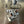 CP9056 - Drop in pistons (12.5-1) - XP1000