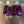 TPR016 - PURPLE Billet Valve Cover - Turbo R / Pro XP