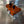 TPR016 - ORANGE Billet Valve Cover - Turbo R / Pro XP