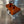 TPR016 - ORANGE Billet Valve Cover - Turbo R / Pro XP
