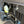 TPR022 - Remote Oil Fill Kit - Xpedition