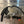 TPR006 - Crankcase Breather Kit (RAW TANK) - RZR